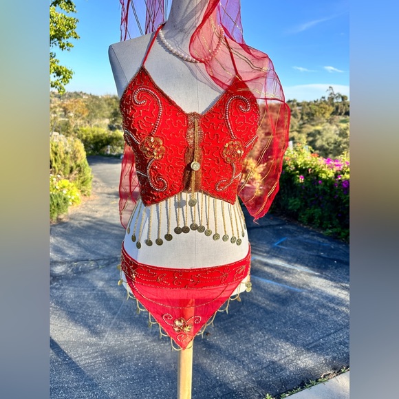 Belly Dance Costume new hand made Bra, trousers, 2 arm sleeves, hat& crop top - Picture 3 of 16